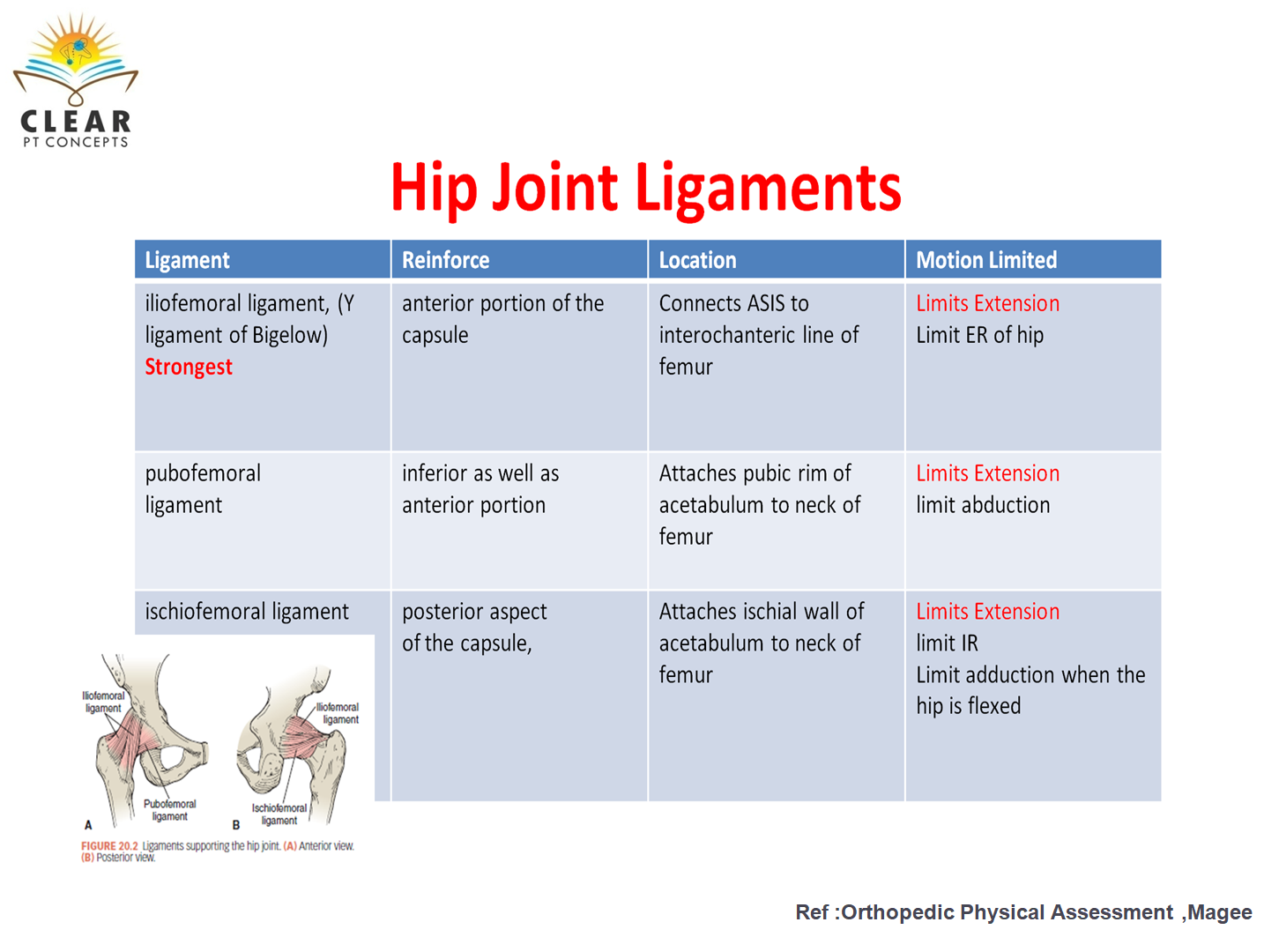 Hip joint Ligaments Biology Diagrams