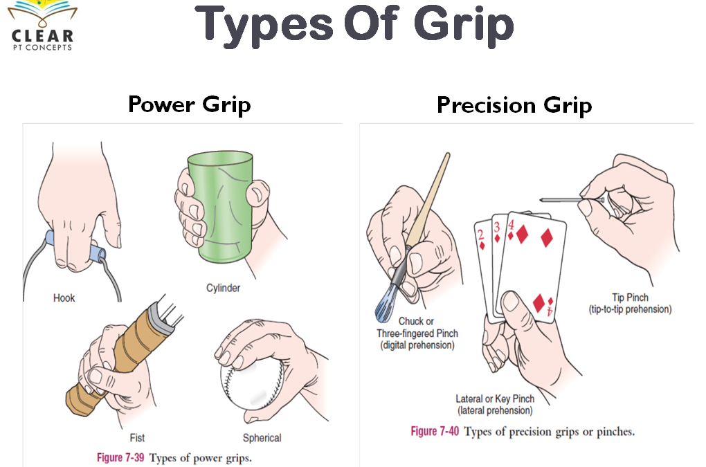 power and precision grips - Students, Britannica Kids